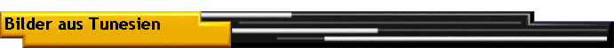 Bilder aus Tunesien